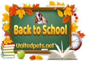 a back to school greeting